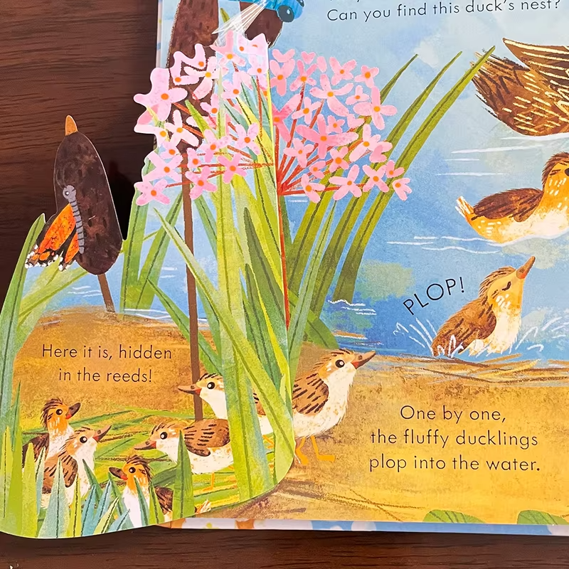 Usborne Peep Inside A Bird's Nest Early Education English Picture Book for Kids Science Popularization Bedtime Reading Book