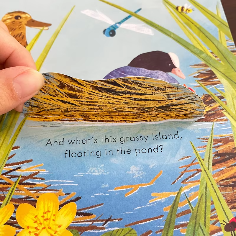 Usborne Peep Inside A Bird's Nest Early Education English Picture Book for Kids Science Popularization Bedtime Reading Book