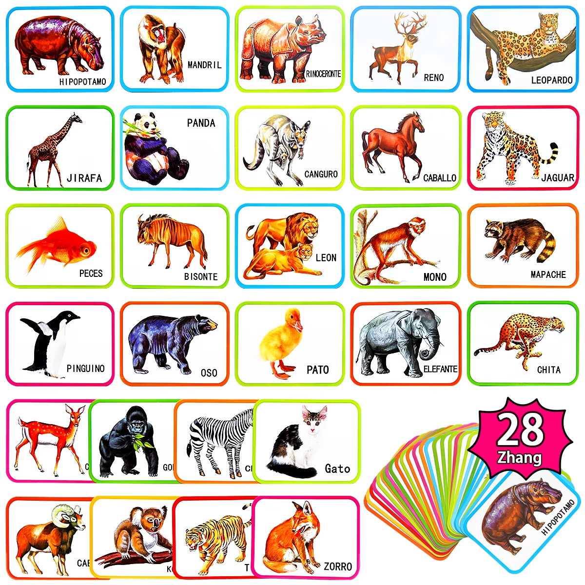 28 Spanish alphabet learning cards (15cm x 11cm) Exquisite illustration teaching cards can improve cognitive learning ability