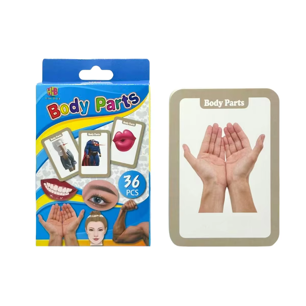 Animal letter flashcards, pre-school educational resources for learning numbers, colors, shapes, and fun learning gifts